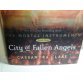 City of Fallen Angels, Mortal Instruments, Hardcover 