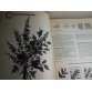 McCalls Needlepoint & Embroidery Encyclopedia 1978