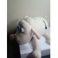 Brand New Serta Counting Sheep No.1 Plush Toy Animal 